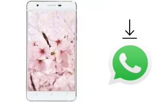 Come installare WhatsApp su VC Maple