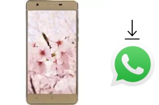 Come installare WhatsApp su VC Sakura II