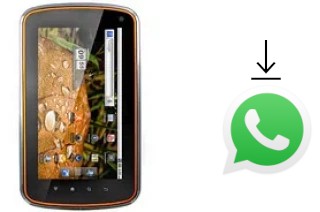 Come installare WhatsApp su verykool R800