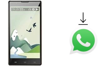 Come installare WhatsApp su verykool s6001 Cyprus