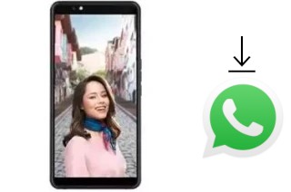 Come installare WhatsApp su Vestel Venus Z20