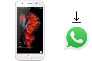 Come installare WhatsApp su VG V666 3G