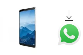 Come installare WhatsApp su VINOVO K10