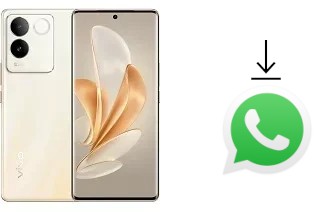 Come installare WhatsApp su vivo S17e