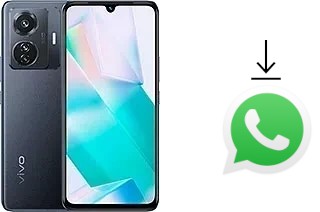 Come installare WhatsApp su vivo T1 (Snapdragon 778G)