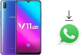 Come installare WhatsApp su vivo V11 (V11 Pro)