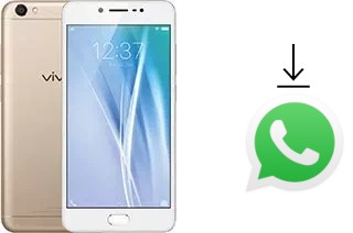 Come installare WhatsApp su vivo V5