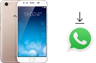 Come installare WhatsApp su vivo X9 Plus