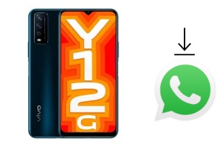 Come installare WhatsApp su vivo Y12G