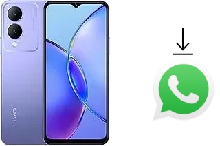 Come installare WhatsApp su vivo Y17s