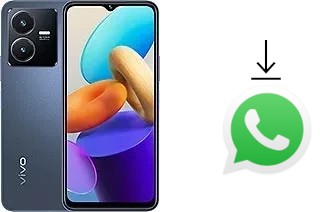 Come installare WhatsApp su vivo Y22s