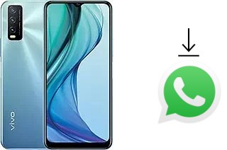 Come installare WhatsApp su vivo Y30 (China)