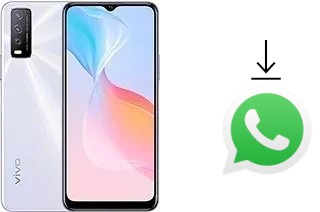 Come installare WhatsApp su vivo Y30G