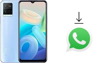 Come installare WhatsApp su vivo Y32