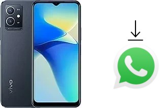 Come installare WhatsApp su vivo Y33e