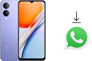 Come installare WhatsApp su vivo Y36i