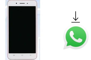 Come installare WhatsApp su vivo Y55A