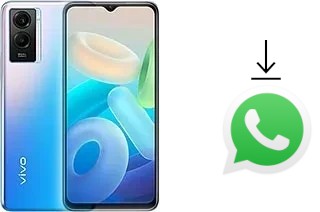 Come installare WhatsApp su vivo Y55s 5G