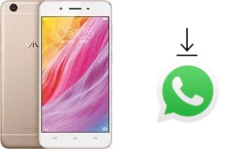 Come installare WhatsApp su vivo Y55s