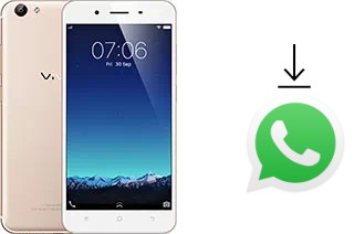 Come installare WhatsApp su vivo Y65