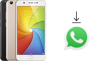 Come installare WhatsApp su vivo Y69