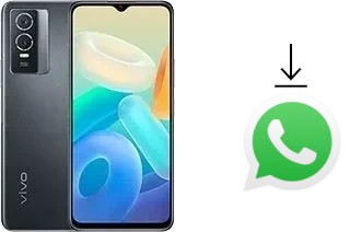 Come installare WhatsApp su vivo Y76s