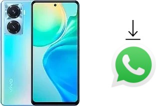 Come installare WhatsApp su vivo Y77 (China)