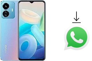 Come installare WhatsApp su vivo Y77