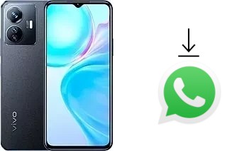 Come installare WhatsApp su vivo Y77e (t1)