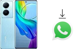 Come installare WhatsApp su vivo Y78+