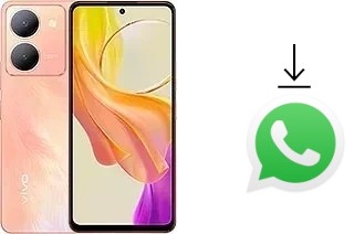 Come installare WhatsApp su vivo Y78