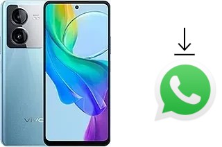 Come installare WhatsApp su vivo Y78t