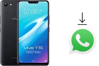 Come installare WhatsApp su vivo Y81