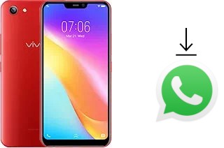 Come installare WhatsApp su vivo Y81i