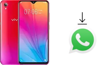 Come installare WhatsApp su vivo Y91i (India)