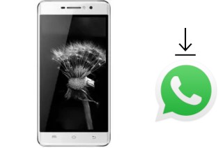 Come installare WhatsApp su Viwa Power P1