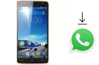 Come installare WhatsApp su Viwa X55