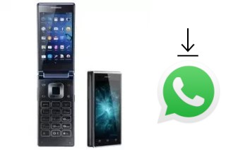 Come installare WhatsApp su VKworld T2