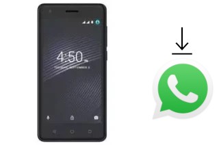 Come installare WhatsApp su Walton Primo E8s