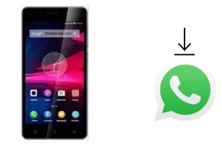 Come installare WhatsApp su Walton Primo RM2 mini