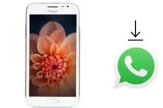 Come installare WhatsApp su Wham WS53