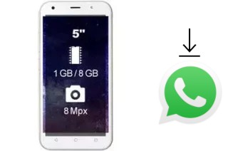 Come installare WhatsApp su Wieppo S5