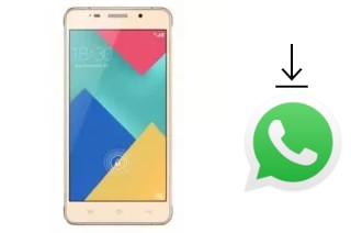 Come installare WhatsApp su Winds Grace V Plus