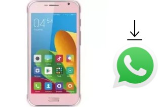 Come installare WhatsApp su X-TIGI J110