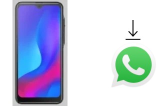 Come installare WhatsApp su X-TIGI V29 PRO