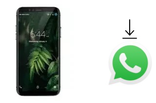 Come installare WhatsApp su Xgody M78 Pro