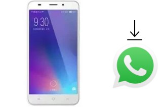 Come installare WhatsApp su Xiaolajiao T8