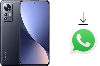 Come installare WhatsApp su Xiaomi 12X