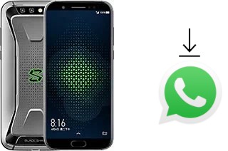 Come installare WhatsApp su Xiaomi Black Shark