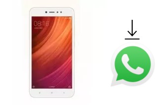 Come installare WhatsApp su Xiaomi Redmi 4 High Version